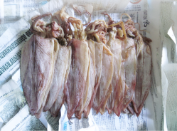 Khô mực câu 30con